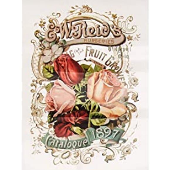Re Design by Prima Transfer Sticker Wild Roses 11x15" Red Pink Floral - Picture 1 of 1